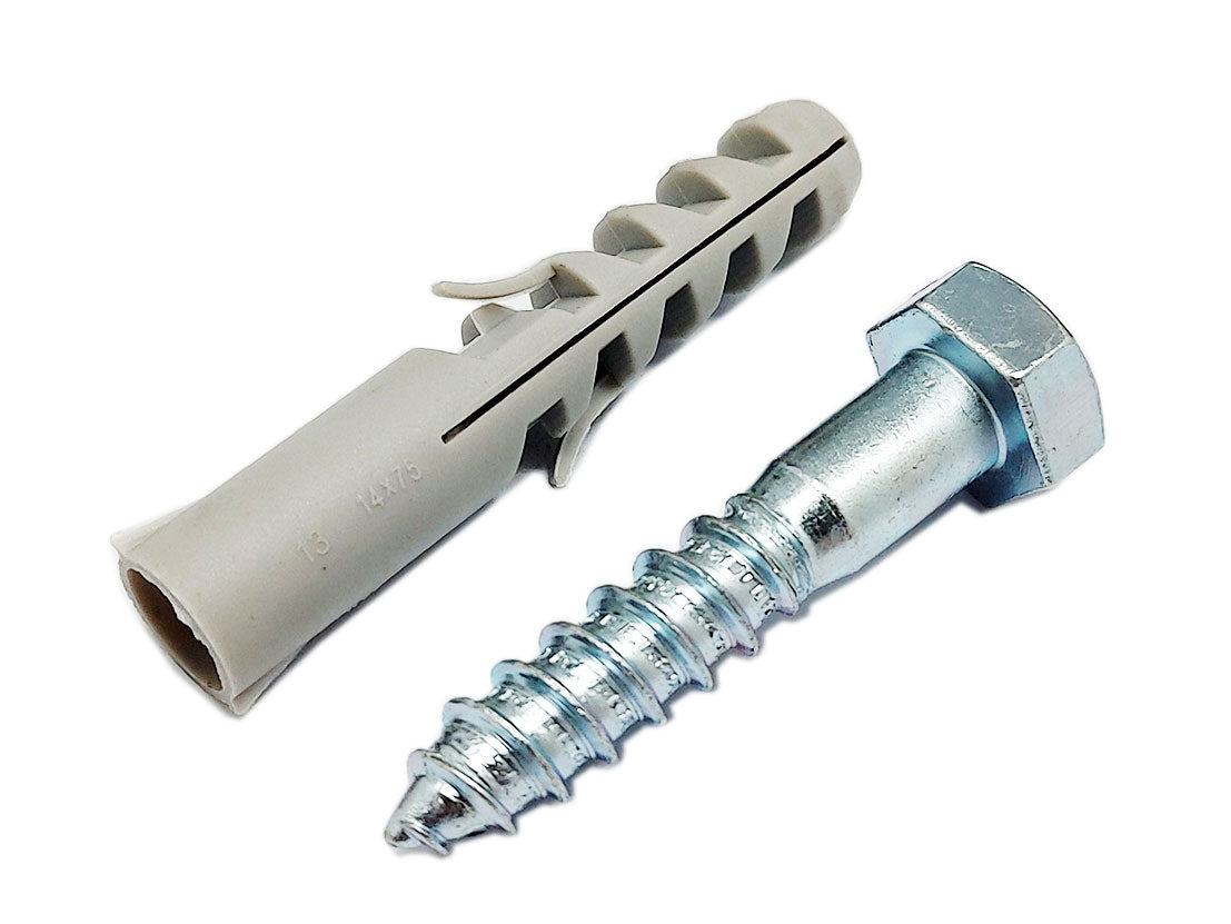 Coach Screw + Wall Plug