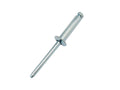 Steel Rivets