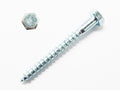 Coach Screws