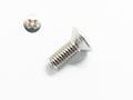 Raised Pozi Machine Screws